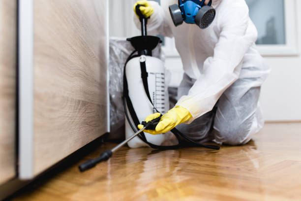 Best Pest Removal Services  in Wellton, AZ