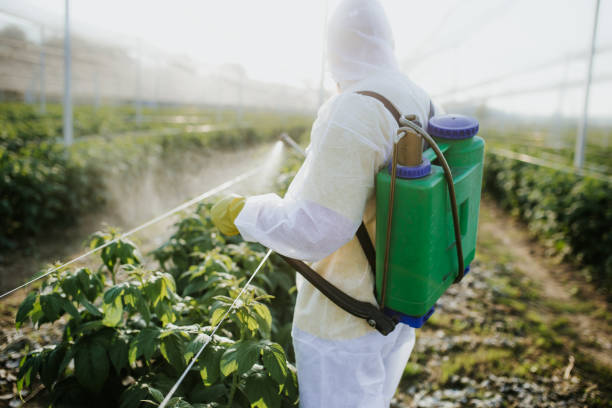 Best Exterminator Services  in Wellton, AZ